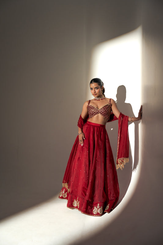 Zareen Lehenga Set - XL