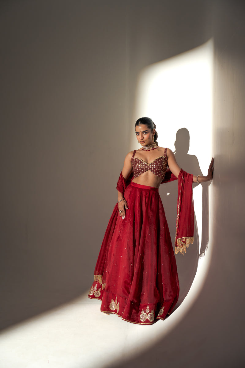 Zareen Lehenga Set - XL