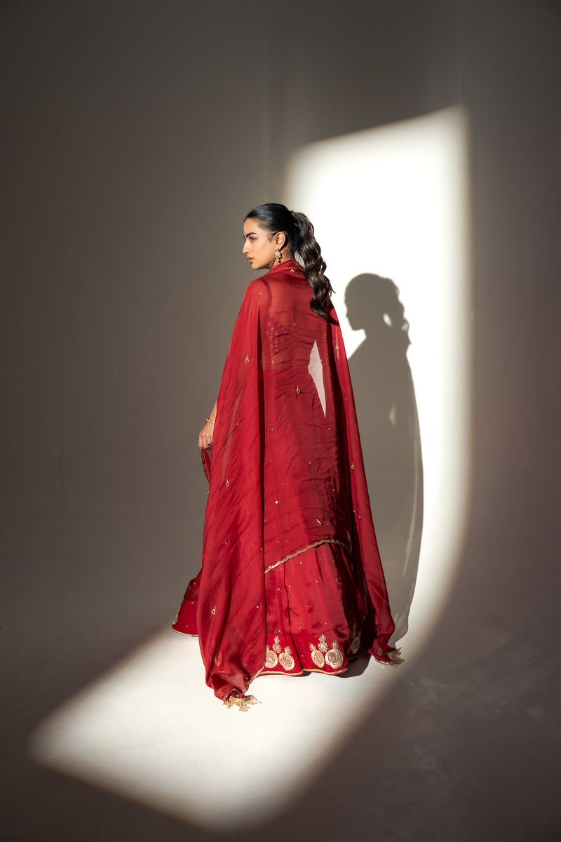 Zareen Lehenga Set - M